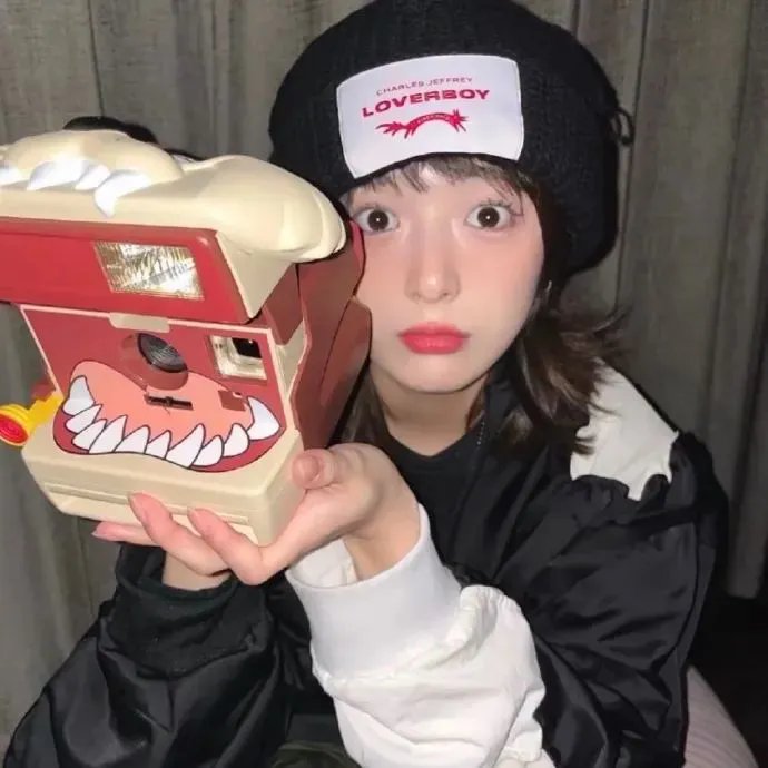 模范警察